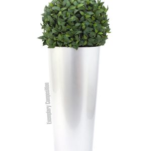 EUROPALMS LEICHTSIN ELEGANCE-69, weiß, glänzend